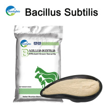 Animal Feed Additive Probiotics Bacillus subtilis with 20/50/100 billion